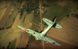 Il2birds21